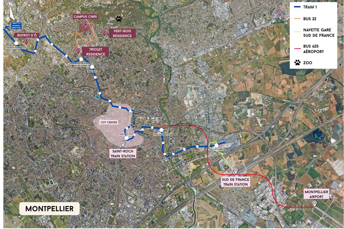 MONTPELLIER_4_1.png
